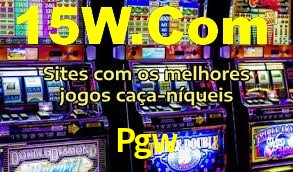 Premium Interface Pgw